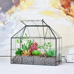 Terrarium Verre Maison – Serre Plantes Succulentes Laiton - VIVARIUM PRO
