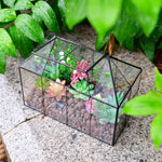 Terrarium Verre Maison – Serre Plantes Succulentes Laiton - VIVARIUM PRO