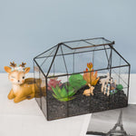 Terrarium Verre Maison – Serre Plantes Succulentes Laiton - VIVARIUM PRO
