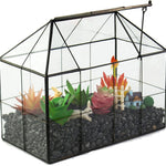 Terrarium Verre Maison – Serre Plantes Succulentes Laiton - VIVARIUM PRO