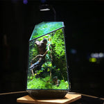 Terrarium Plante Verre et Cuivre Fait Main Style Vintage - VIVARIUM PRO
