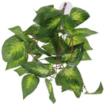 Plante Artificielle Sécuritaire pour Terrarium Reptiles et Aquarium - VIVARIUM PRO