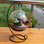 Terrarium Plante Suspendu en Verre avec Support Décoratif - VIVARIUM PRO