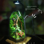 Terrarium Plante Verre et Cuivre Fait Main Style Vintage - VIVARIUM PRO