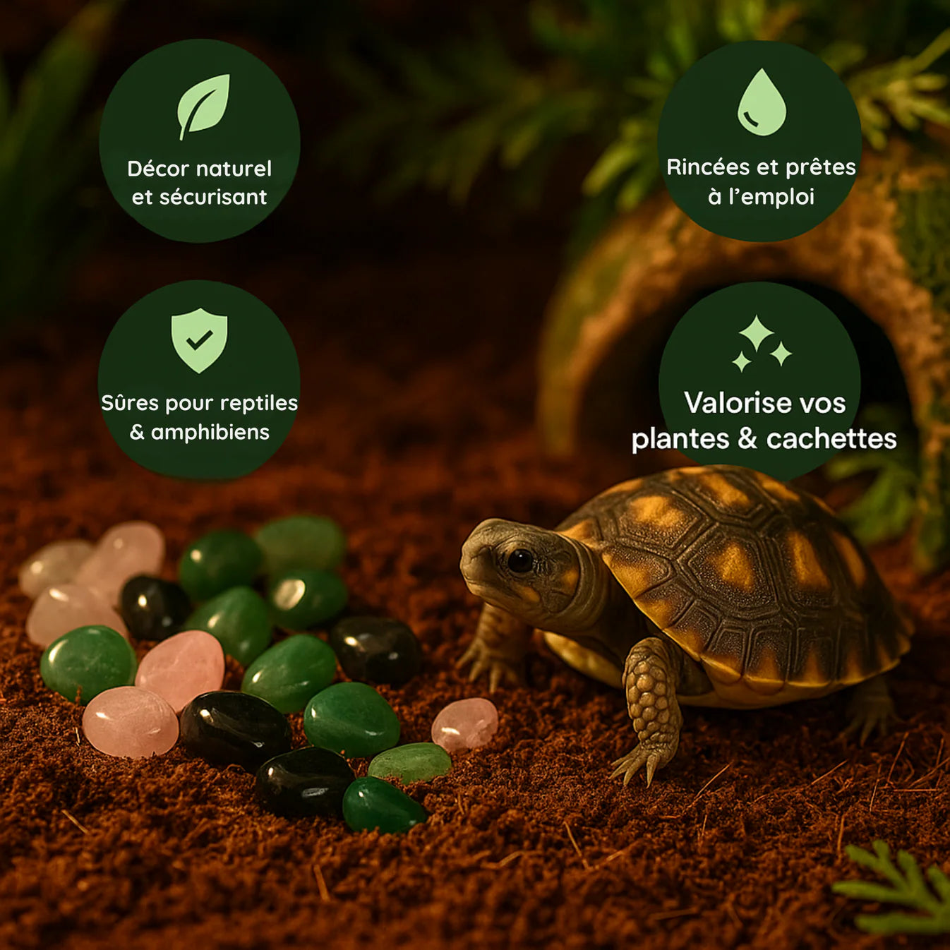 Pierres Naturelles et Cristaux pour Terrarium - VIVARIUM PRO