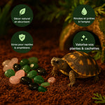 Pierres Naturelles et Cristaux pour Terrarium - VIVARIUM PRO