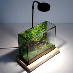 Terrarium Plante Géométrique Verre Métal pour Écosystème Tropical - VIVARIUM PRO