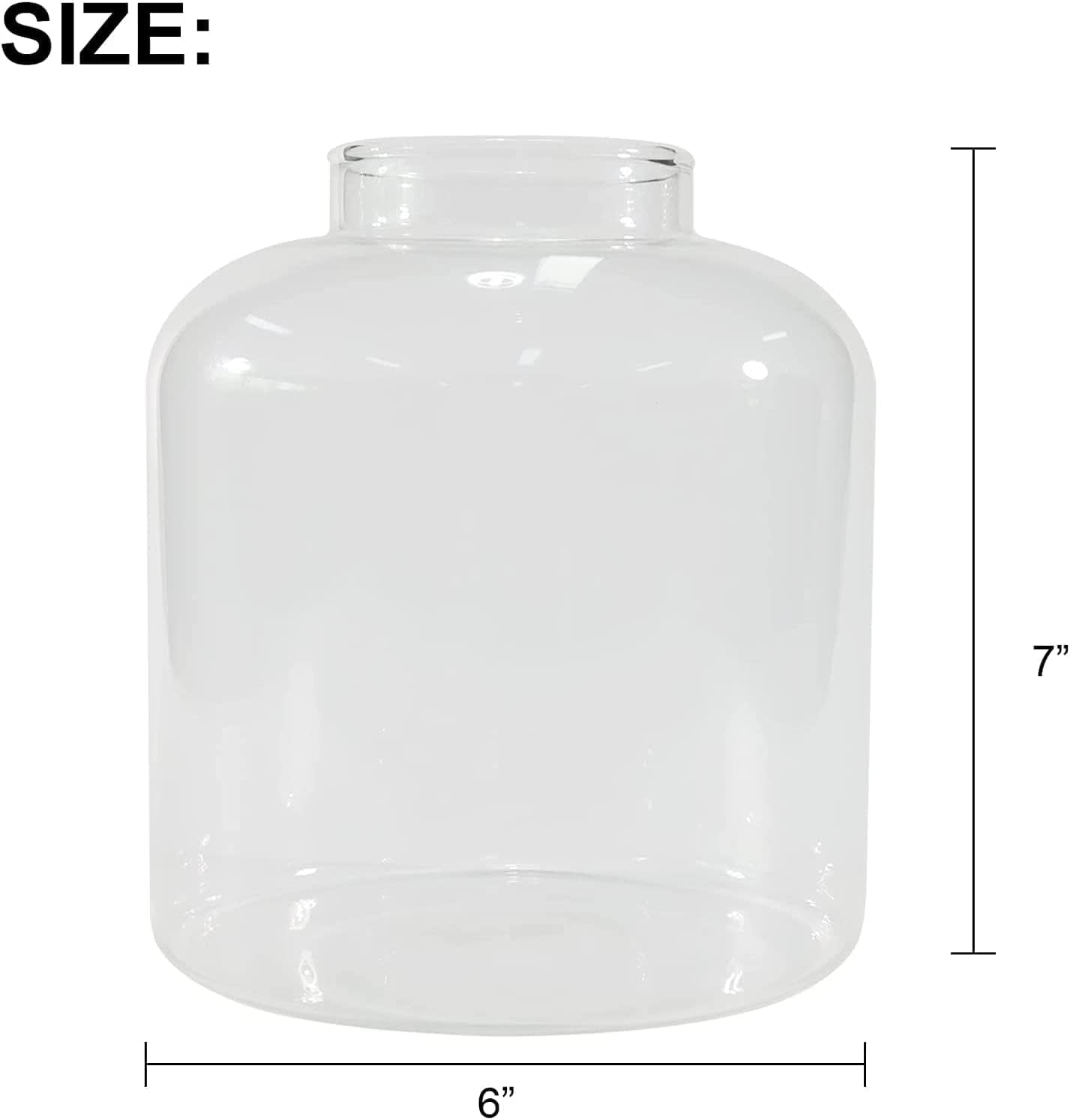 Terrarium Verre Couvercle Base Bois – Grand DIY Écosystème - VIVARIUM PRO