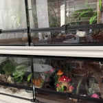Terrarium Reptiles Verre Trempé avec Double Porte Sécurisée - VIVARIUM PRO