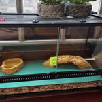 Terrarium Reptiles Verre Trempé avec Double Porte Sécurisée - VIVARIUM PRO