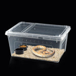 Terrarium Déplacement – Boîte Élevage Empilable Reptiles - VIVARIUM PRO