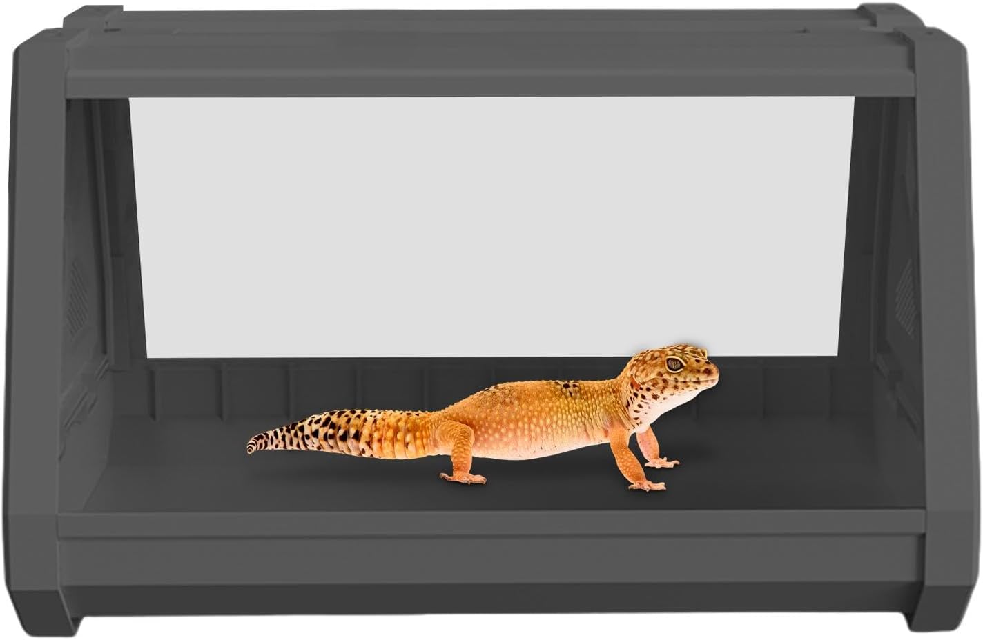 Terrarium Compact Blanc – Gecko