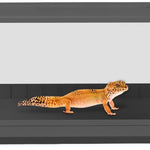 Terrarium Compact Blanc – Gecko