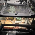 Terrarium Reptiles Verre Trempé avec Double Porte Sécurisée - VIVARIUM PRO