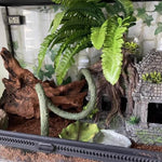 Terrarium Reptiles Verre Trempé avec Double Porte Sécurisée - VIVARIUM PRO
