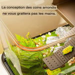 Terrarium Plastique Transparent pour Plantes et Invertébrés - VIVARIUM PRO