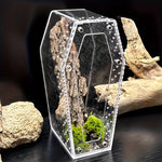 Terrarium Acrylique 360 Degrés