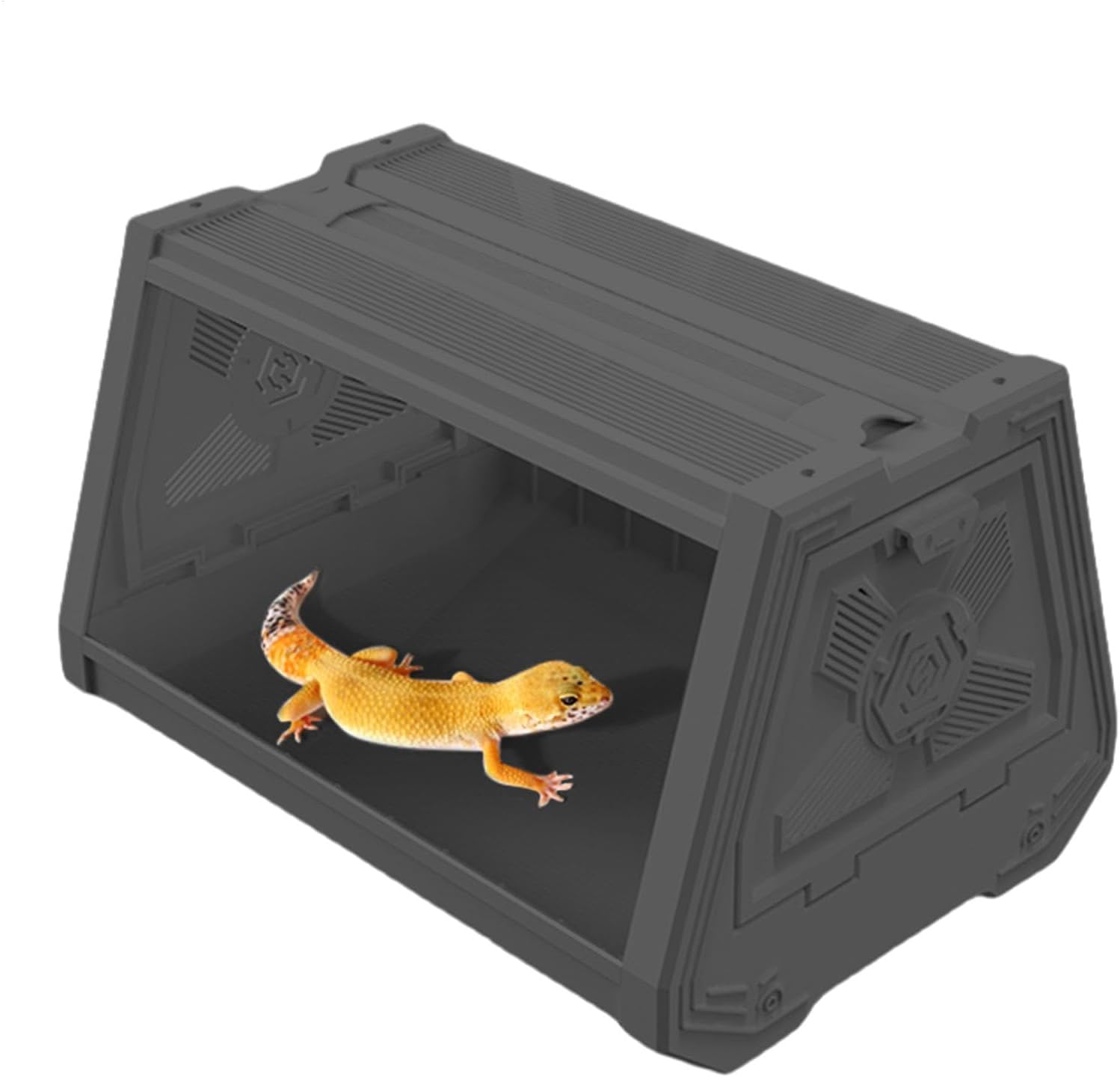 Terrarium Compact Blanc – Gecko