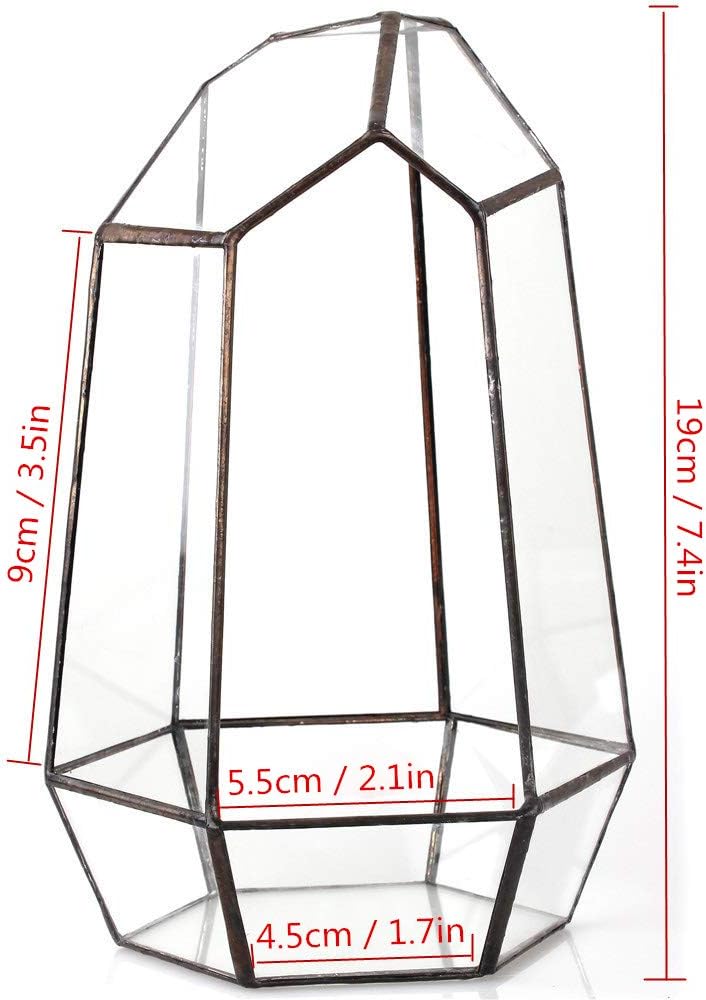 Terrarium Cube Verre Cuivre – Plantes Grasses Moderne - VIVARIUM PRO