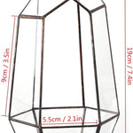 Terrarium Cube Verre Cuivre – Plantes Grasses Moderne - VIVARIUM PRO