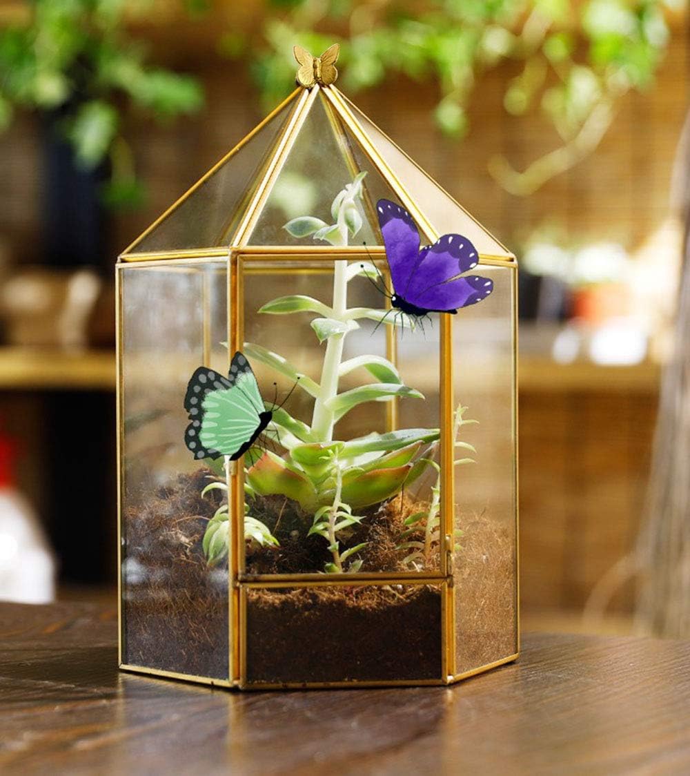 Terrarium Hexagonal Doré Charnière – Grande Serre Géométrique - VIVARIUM PRO