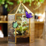 Terrarium Hexagonal Doré Charnière – Grande Serre Géométrique - VIVARIUM PRO