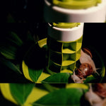 Maison d'Élevage pour Escargots et Reptiles – Boîte d'Alimentation ABS/PC Transparent avec Poignée - VIVARIUM PRO