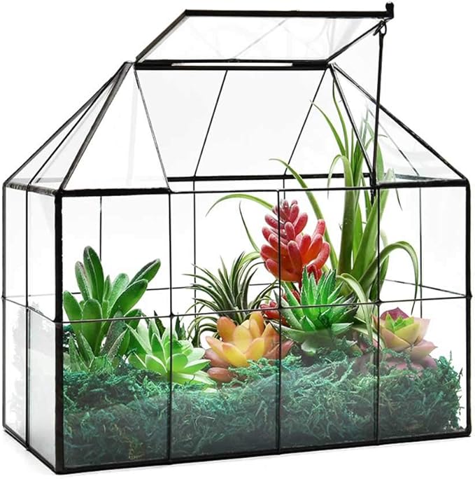 Terrarium Verre Maison – Serre Plantes Succulentes Laiton