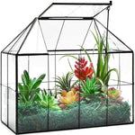 Terrarium Verre Maison – Serre Plantes Succulentes Laiton - VIVARIUM PRO