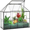 Terrarium Verre Maison – Serre Plantes Succulentes Laiton