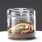 Terrarium Plante en Verre avec Couvercle Anti-Condensation - VIVARIUM PRO