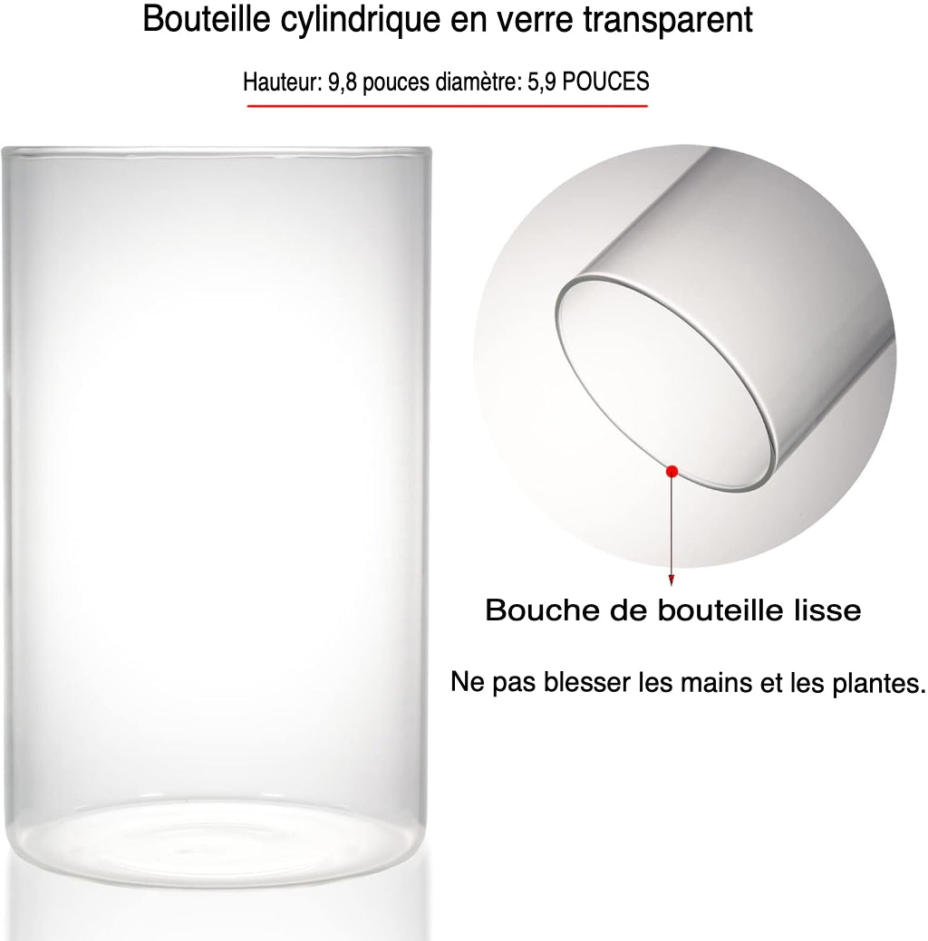 Terrarium Plante avec Éclairage LED et Régulation Humidité