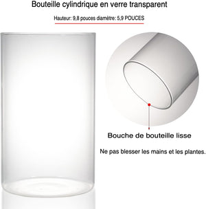 Terrarium Plante avec Éclairage LED et Régulation Humidité