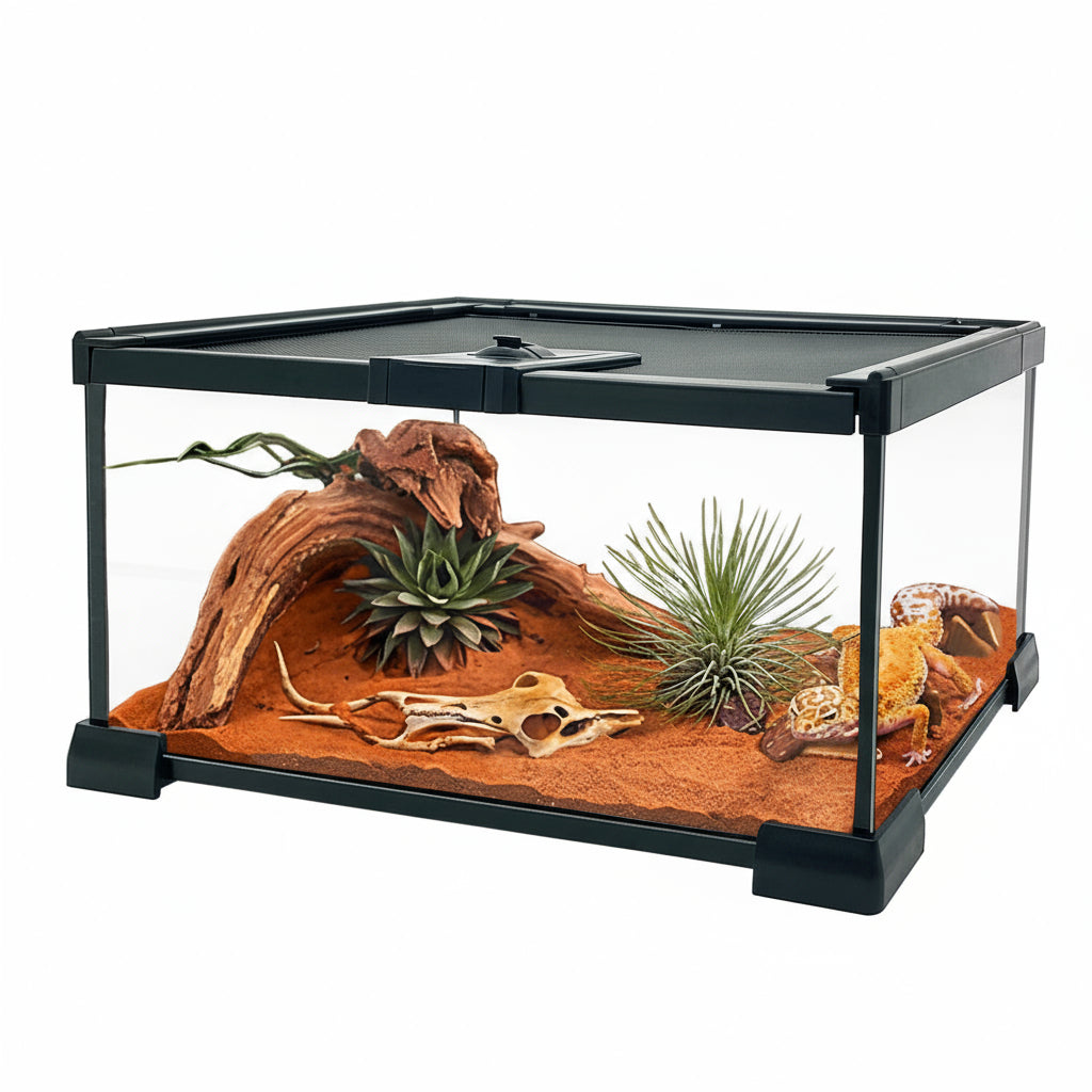 Mini Terrarium Verre – Boîte Élevage Reptiles Verrou Magnétique