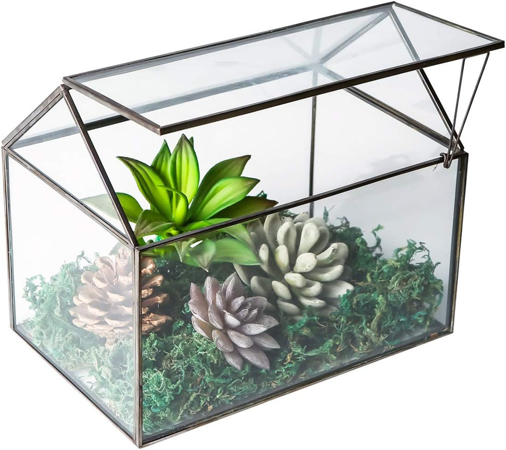 Terrarium Maison Géométrique Noir – Couvercle Basculant Grande Serre - VIVARIUM PRO