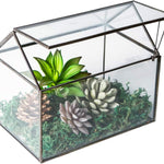 Terrarium Maison Géométrique Noir – Couvercle Basculant Grande Serre - VIVARIUM PRO