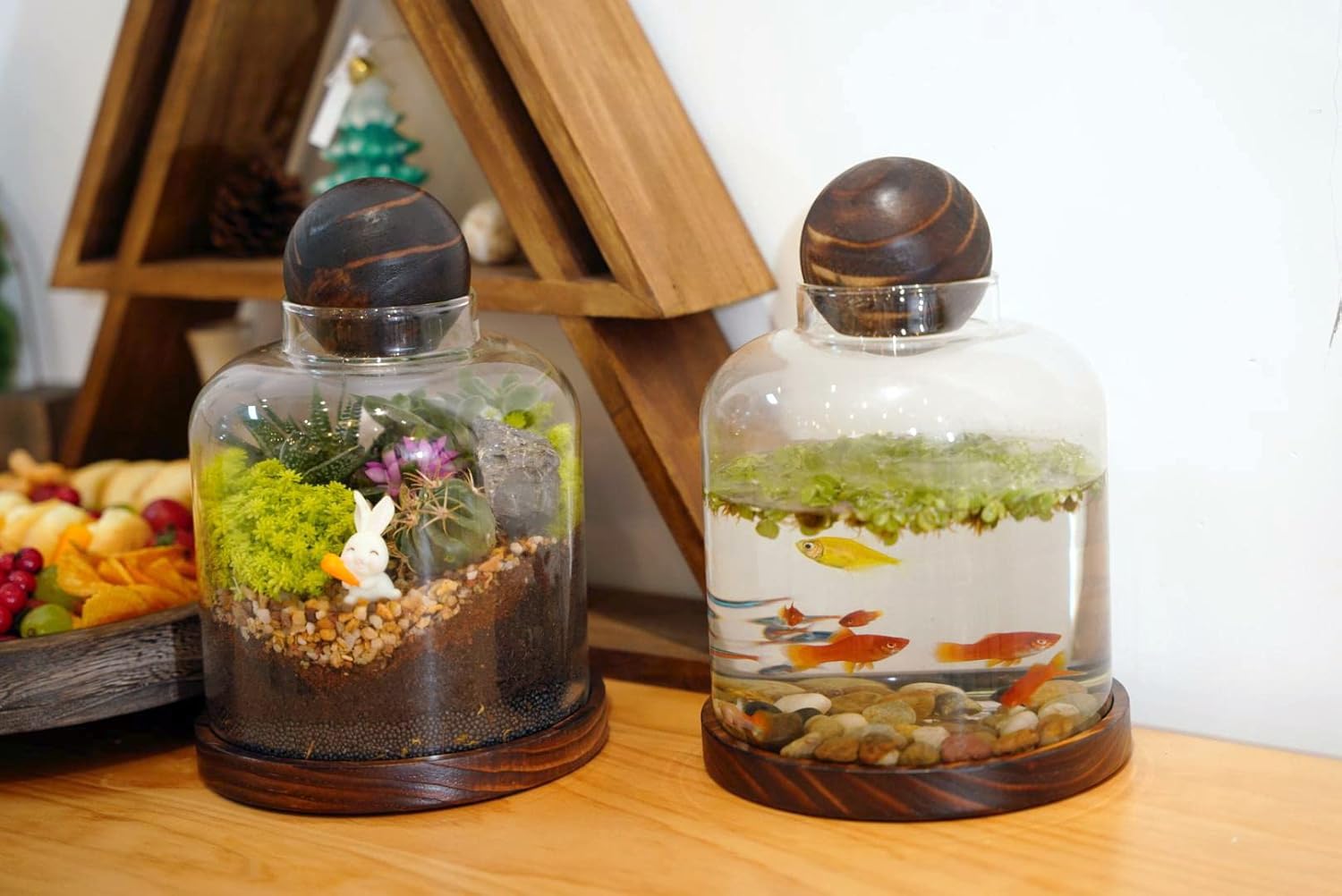 Terrarium Verre Couvercle Base Bois – Grand DIY Écosystème - VIVARIUM PRO