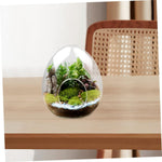 Terrarium Plante Verre Borosilicate Transparent - VIVARIUM PRO