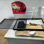 Boîte d'Élevage Reptiles PC Robuste – Terrarium Transparent - VIVARIUM PRO