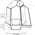 Terrarium Fermé Géométrique Porte – Insectes Cactus Verre - VIVARIUM PRO