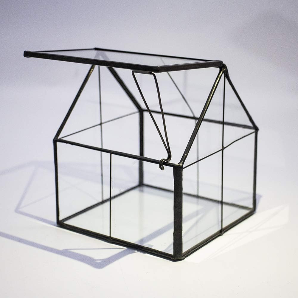 Terrarium Maison Verre Laiton Porte – Plantes Succulentes DIY - VIVARIUM PRO