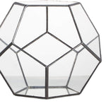 Terrarium Dodécaèdre Géométrique Noir – Plaques Pentagonales Verre - VIVARIUM PRO