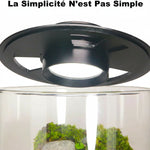 Terrarium Plante avec Éclairage LED et Régulation Humidité