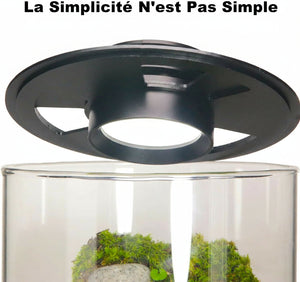 Terrarium Plante avec Éclairage LED et Régulation Humidité