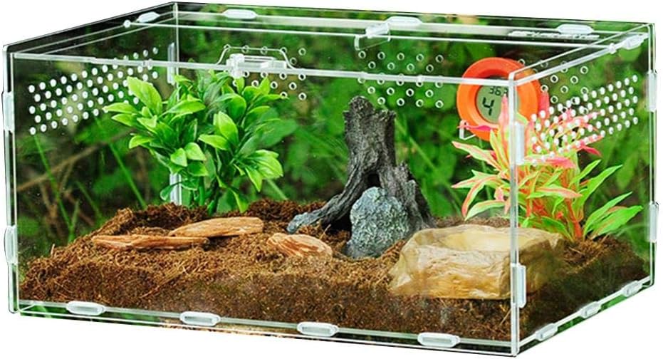 Terrarium Acrylique Transparent pour Reptiles - VIVARIUM PRO