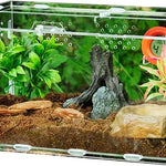 Terrarium Acrylique Transparent pour Reptiles - VIVARIUM PRO