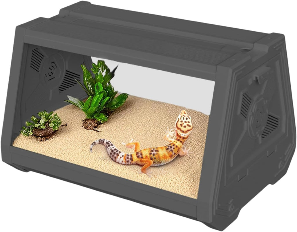 Terrarium Compact Blanc – Gecko
