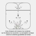 Terrarium Plante en Verre avec Couvercle Anti-Condensation - VIVARIUM PRO