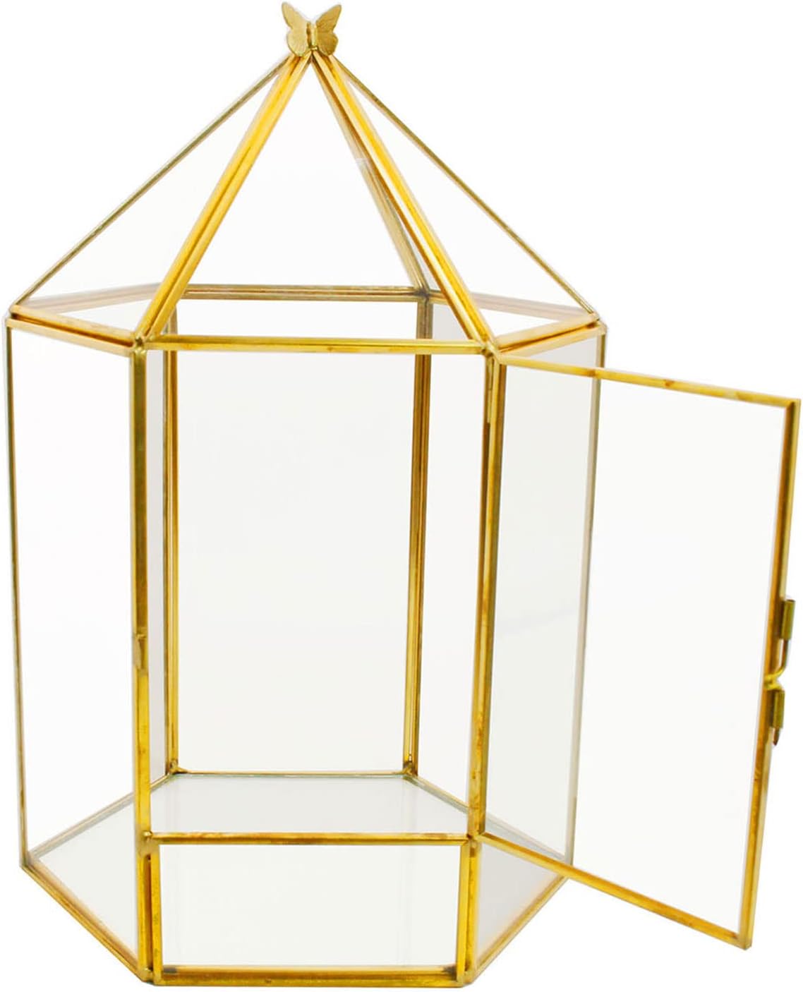 Terrarium Hexagonal Doré Charnière – Grande Serre Géométrique - VIVARIUM PRO
