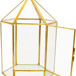 Terrarium Hexagonal Doré Charnière – Grande Serre Géométrique - VIVARIUM PRO